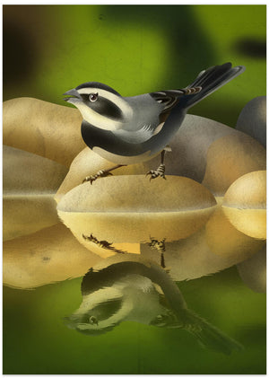 Canvas Art Print Monterita de collar