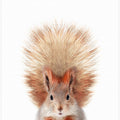 Canvas Art Print Baby Squirel