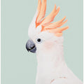 Canvas Art Print Cockatoo