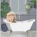 Lion takes a bath