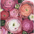 Arleth ranunculus bouquet in warm pink