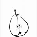 Line art half pear
