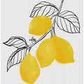 Lamya lemons