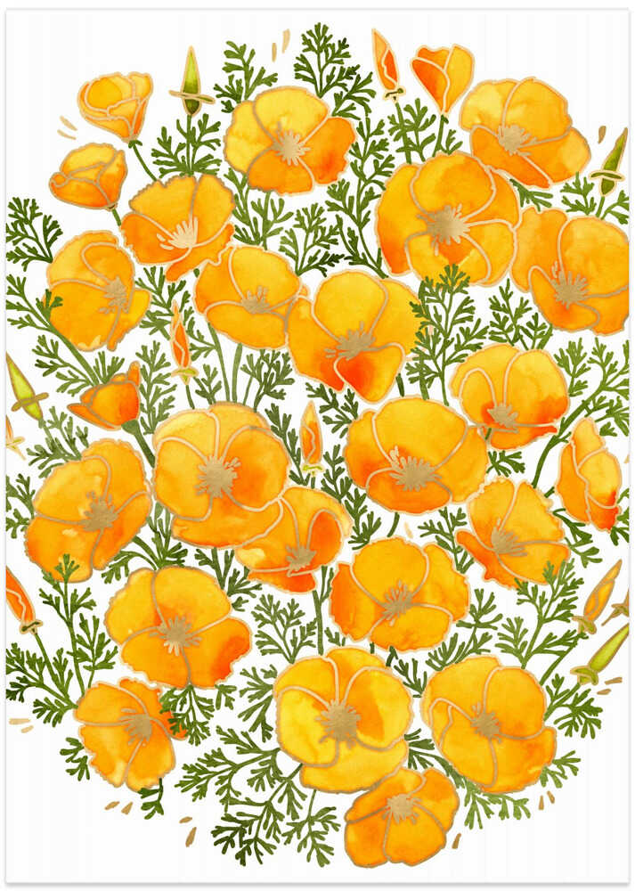 Gold accented California poppies