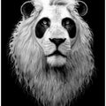 Canvas Art Print PANDALION
