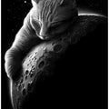 Canvas Art Print mooncat