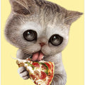 Canvas Art Print cat loves pizza