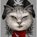 Canvas Art Print pirate