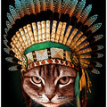 Canvas Art Print chief cat