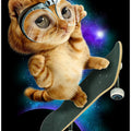 Canvas Art Print cat on skateboard