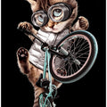 Canvas Art Print bmx cat