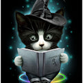 Canvas Art Print magical cat
