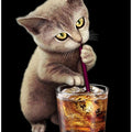 Canvas Art Print cat and soft drink