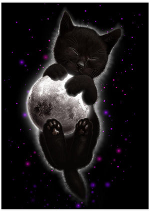 Canvas Art Print norma