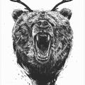 Canvas Art Print Angry bear with antlers