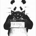 Canvas Art Print Bad panda