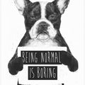 Canvas Art Print Being Normal Is Boring