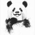 Funny panda