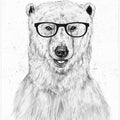 Geek bear
