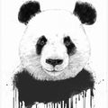 Graffiti panda