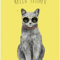 Hello Summer