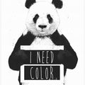 I need color