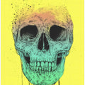 Pop Art Skull