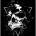 Skull X (bw)