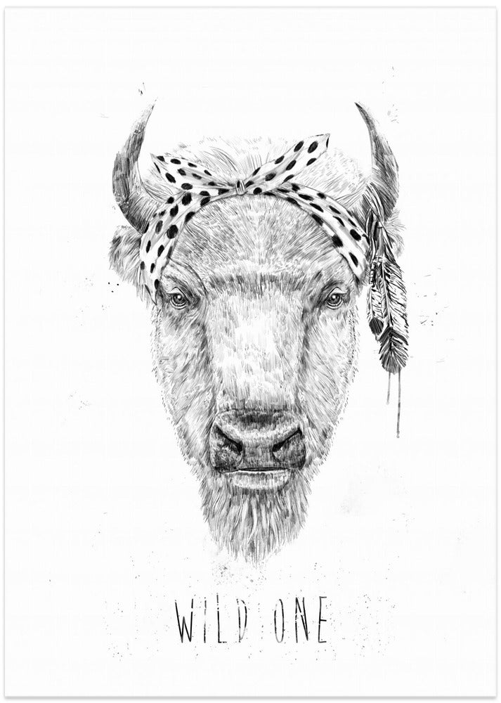 Wild one