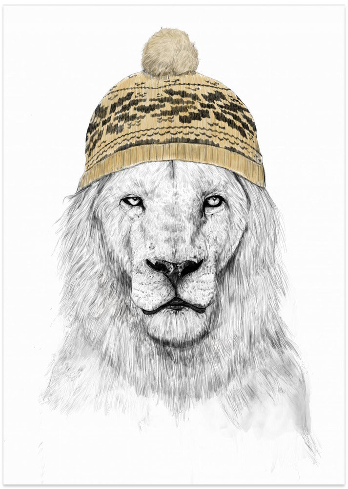 Winter Lion