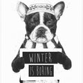 Winter is boring