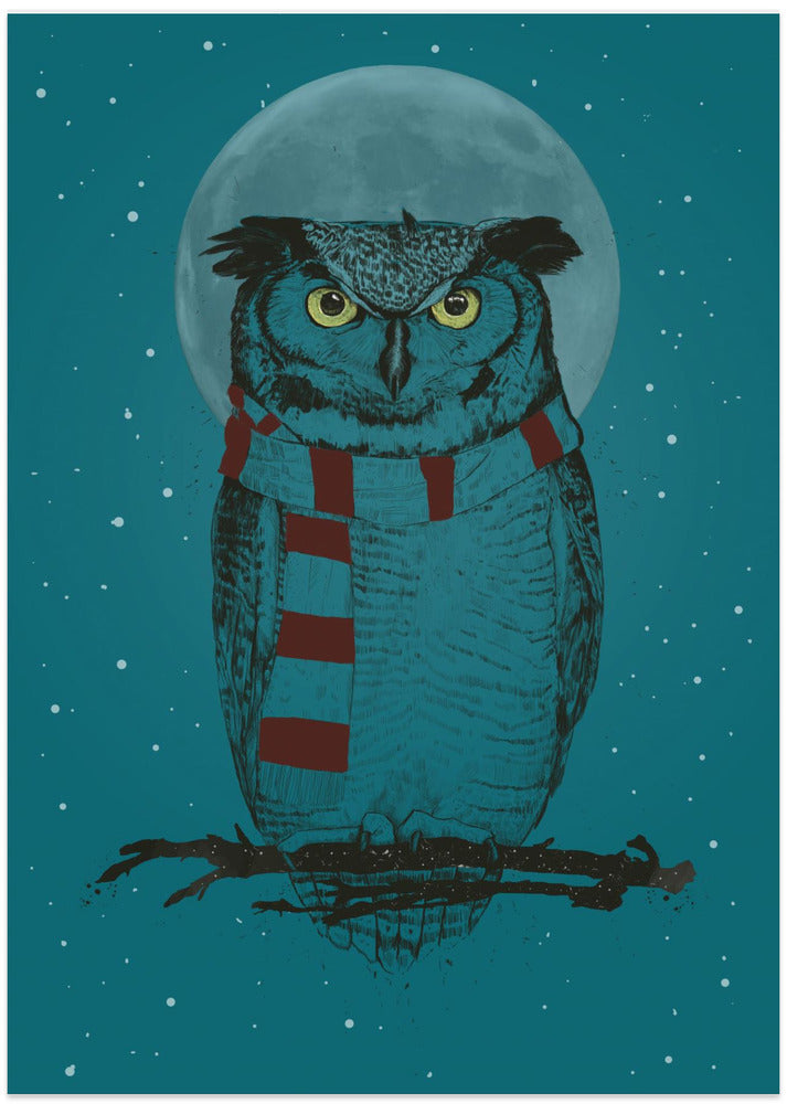 Winter owl