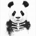 Zombie Panda