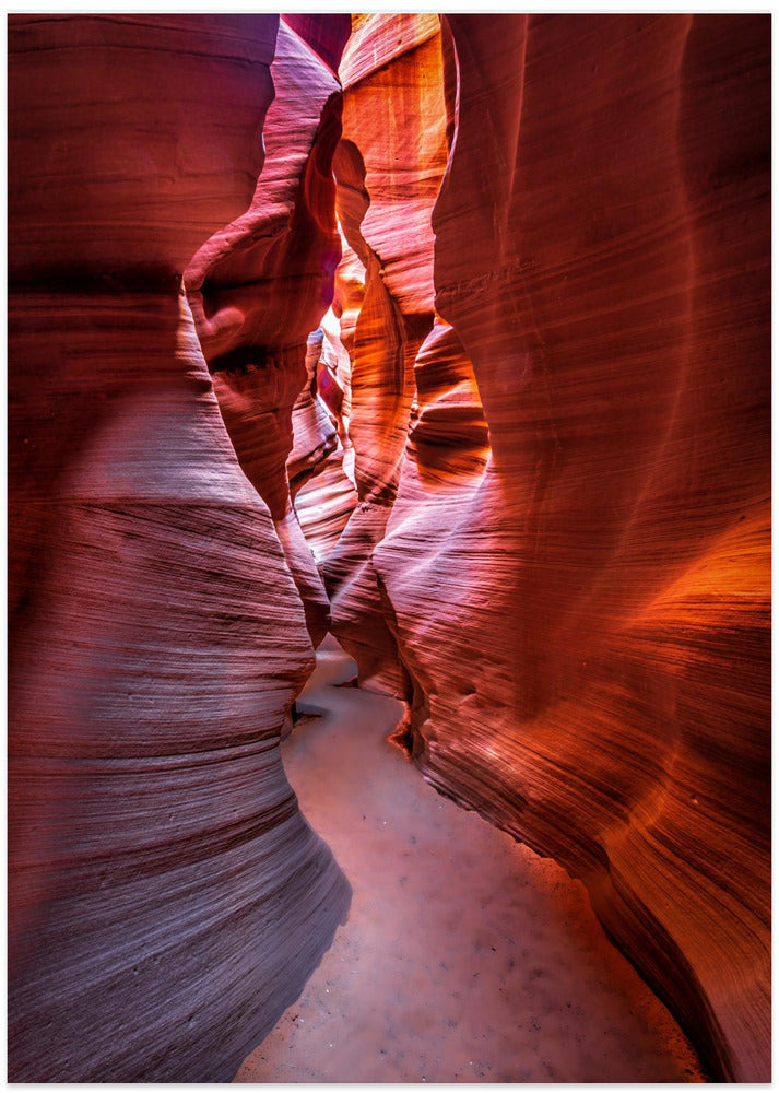 The curves and colors of nature