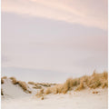 Ameland Dunes 3