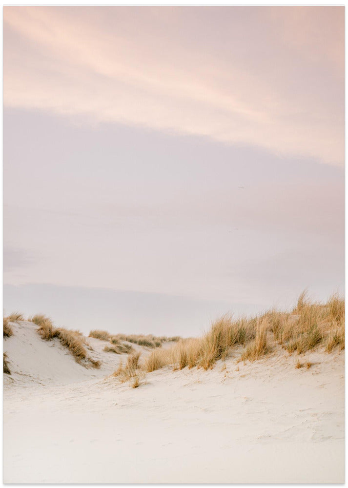 Ameland Dunes 3
