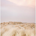 Ameland Dunes 2