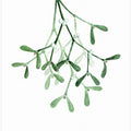 Watercolor mistletoe