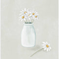 Daisy Flowers