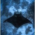 Manta on the Reef