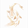 Gold White Japan Koi Fish
