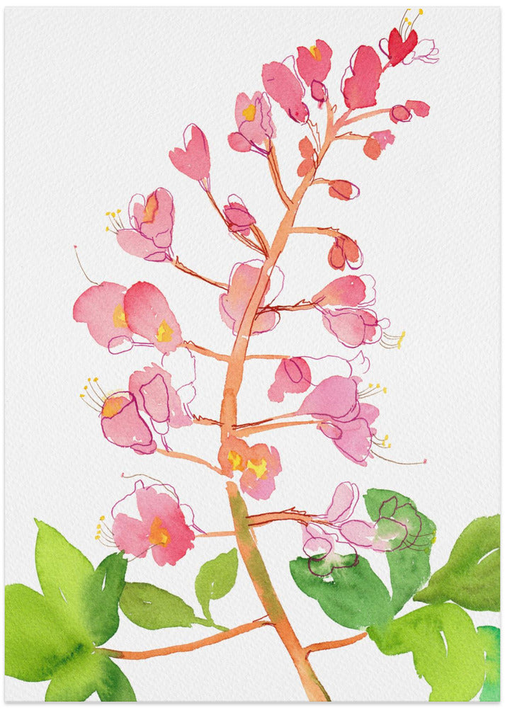 Red horse-chestnut or Aesculus × carnea with watercolor and ink