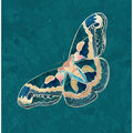 Turquoise Gold Moth Butterfly