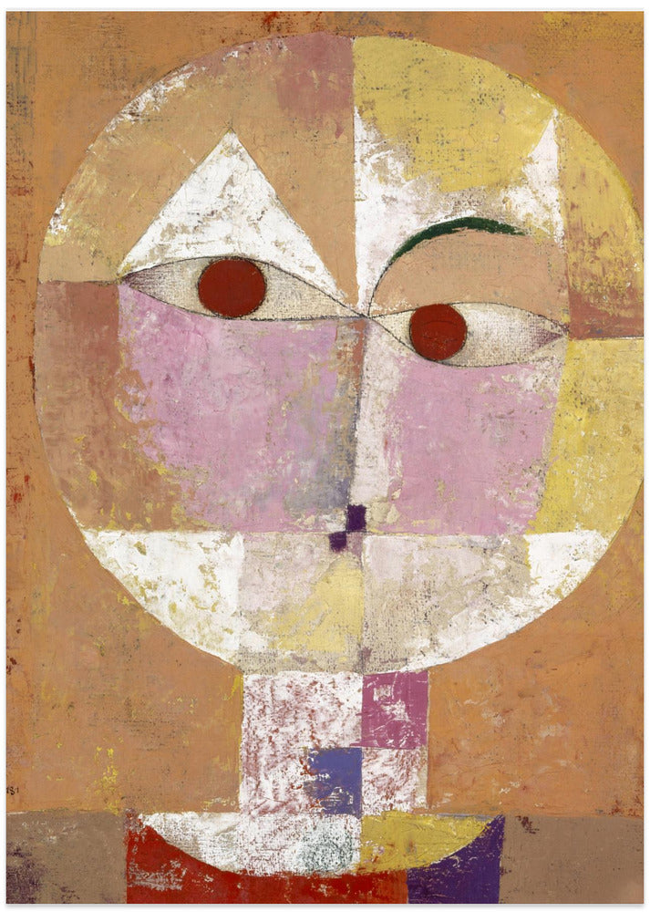 Senecio Baldgreis 1922