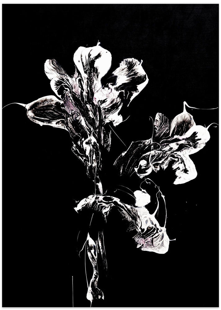 Monochrome Floral Petals