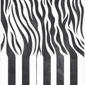 Art Prints of Zebra Piano Black and White