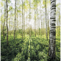 Birch Grove vertical
