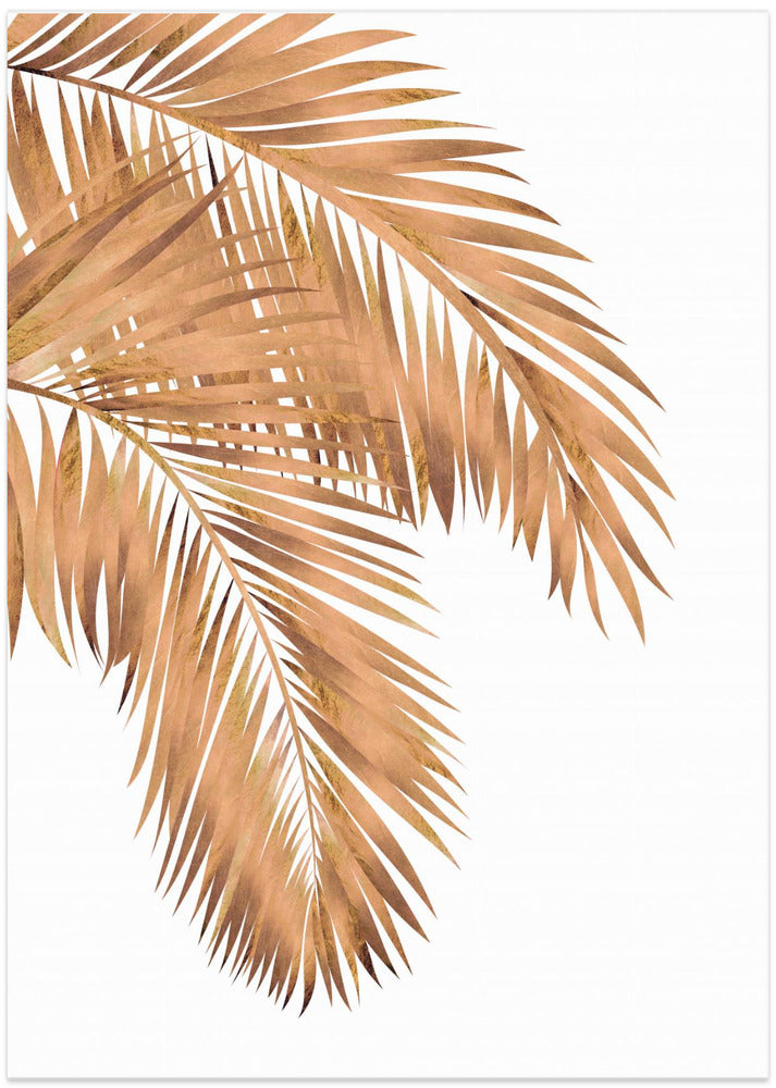 Golden palms white copper 1