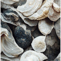 Shells and Stone