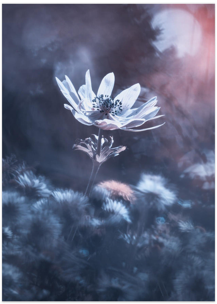 The divine sound of creation